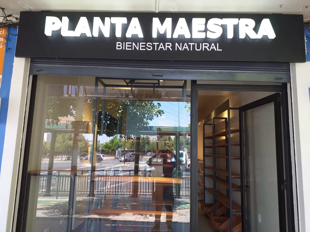 Planta Maestra · Del acceso a la experiencia